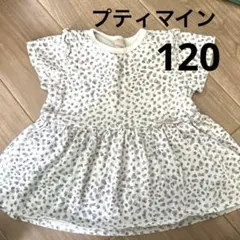 プティマイン　Tシャツ　120