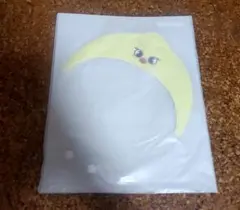 Stray Kids スキズ　ミニうちわカバー ポガリ　ソウルコン