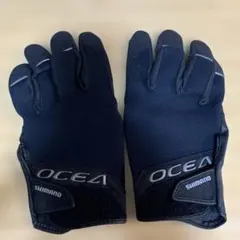 Item thumbnail for item 16706bba-6bf5-4fa8-b386-55a836370fc9