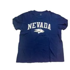 Item thumbnail for item 8978f24f-1826-41e3-a62c-bfad8b7ad1f7