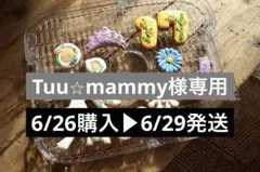 プリンセスアイシングクッキー　Tuu⭐︎mammy様専用