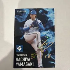 Item thumbnail for item 3730fd1d-6e52-47b8-837f-f49a6f0b5781