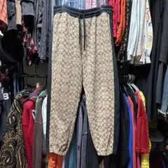 AIRBLASTER スノーボード ACCESS PANT ヒョウ柄 新品展示品 - メルカリ