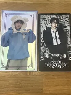 Stray Kids スペシャルトレーディングカード チャンビン