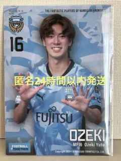 てんちゃん様 リクエスト 2点 まとめ商品