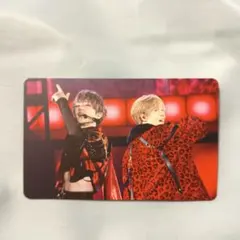 浦島坂田船 センラ うらたぬき 志麻 坂田 WARN12G ミニフォトカード