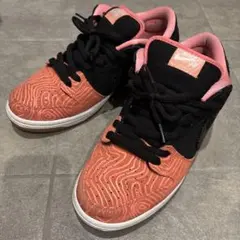 Nike SB Dunk Low PRM Fish Ladder 