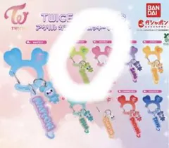 TWICE ジョンヨン　ラブリー　アクリルカラビナフロッキーマスコット　ガチャ