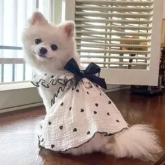 新品 ハート柄 ホワイト リボン Sサイズ 犬服のサムネイル