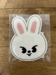 straykids スキズ サガラ刺繍コースター leebit skzoo - メルカリ