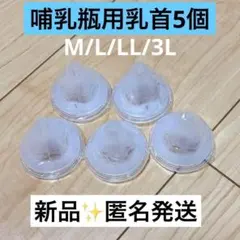 Item thumbnail for item c3376266-a5f9-4ef5-b05b-96dd01a6cdb7