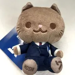 セブンティーン ウジ WOOZI Seventeen 猫 ぬいぐるみ マスコット