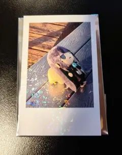 2026年最新】ado チェキ シークレットの人気アイテム - メルカリ