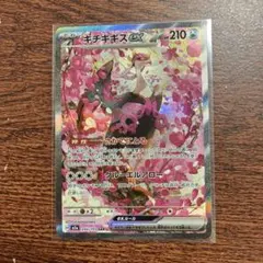 キチキギスex SAR