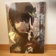 皐月恵 クリアポスター A3 サイズ 桃源郷 - メルカリ
