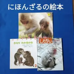 かがくのとも ビッグサイエンス キンダーブックしぜん 恐竜さんの絵本