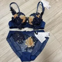 新品　ワコール　サルート　店舗限定ブラ　94G C65 2025年最新】サルート 店舗限定 c65の人気アイテム - メルカリ