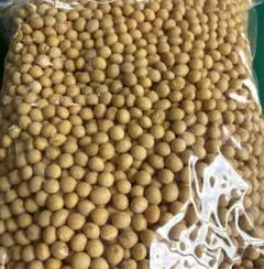 令和7年産 北海道産大豆5k 農薬・化学肥料・除草剤栽培期間中不使用