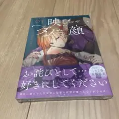 映しちゃダメな顔 3 シュリンク未開封品