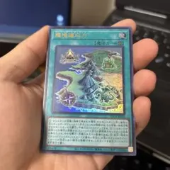環境適応力 遊戯王 トレーディングカード