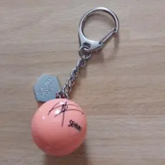 EXO - チャニョル　直筆サインボール EXO - チャニョル 直筆サインボール EXO - チャニョル 直筆