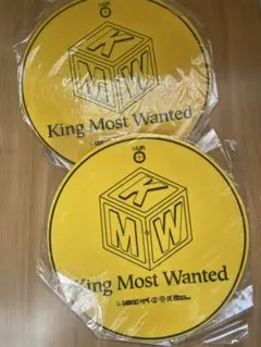 Item thumbnail for item d4df0c4d-5c4a-4d8b-8a9c-f1f3961c3856