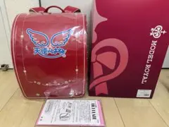 セイバン　モデルロイヤル　デイジー（保証期間内）