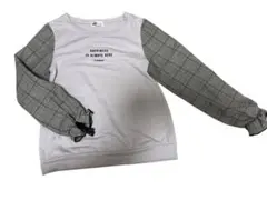 Item thumbnail for item 86a91355-3e6c-480d-befc-c3d8eaa92bac