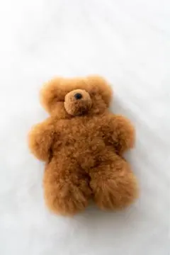 2026年最新】アルパカベアの人気アイテム - メルカリ