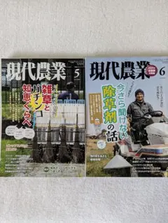 Item thumbnail for item 27793e31-37ee-4aa7-a576-f37d0cebbcb2