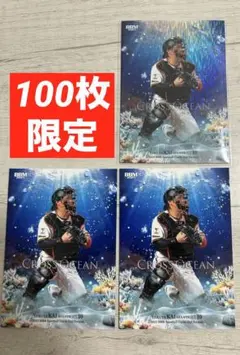 ERI※プロフィール確認必須様 リクエスト 2点 まとめ商品