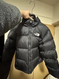 THE NORTH FACE ザ・ノース・フェイスダウンジャケット サイズ:L