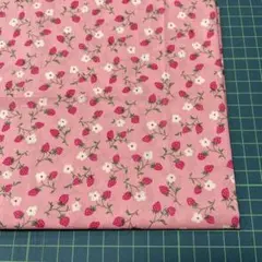 T110 Isabel イザベル 96×51cmリバティ タナローン 39g