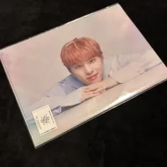 JO1 川西拓実 クリアファイル JO1 museum The STAR