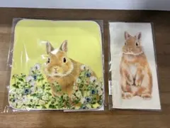 フェリシモ　うさぎ　タオルハンカチ・ペットボトルカバーのサムネイル