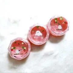 シマエナガ❁⃘*.゜レジンクリームケース イチゴ クリームケース♡小物入れ チョコミントカラーのシマエナガちゃん
