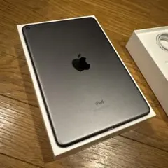 iPad mini 第5世代 256 cellular 純正スマートカバー付き