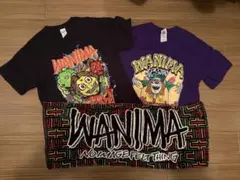 WANIMA タオル・TシャツM サイズ