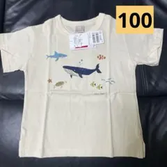 未使用 petit main プティマイン Tシャツ クジラ 魚のサムネイル