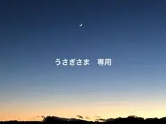 専用ページです