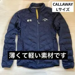 Item thumbnail for item 20f49d85-9d66-4dcc-a8c4-d67e4ca013da