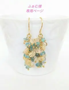 ふぁむ様専用ページです