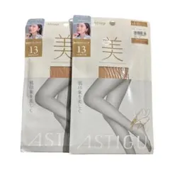 【新品】Atsugi 13デニールストッキング M-L