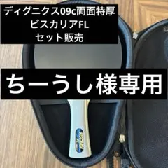 2026年最新】ディグニクス09c 特厚の人気アイテム - メルカリ