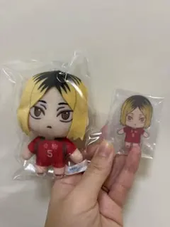 ハイキュー　孤爪研磨