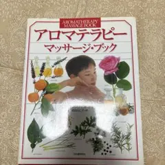 Item thumbnail for item 28108fe0-3e31-4251-a1ab-6e8ee2a1b598