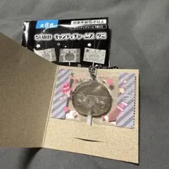 【匿名配送】ラッコ ちいかわ グッズ キャンディチャームズ キーホルダー