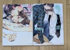 美しい彼 憎らしい彼 2冊セット 凪良ゆう