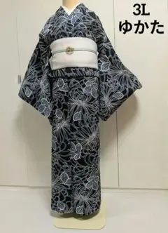 新品 ハス葉 粋モダンカッコいいモノトーン セットセオアルファのよう 