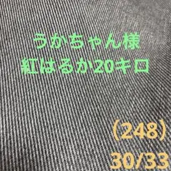 うかちゃん様紅はるか20キロ（248）